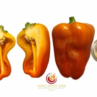 Blot (klyaksa) Pepper