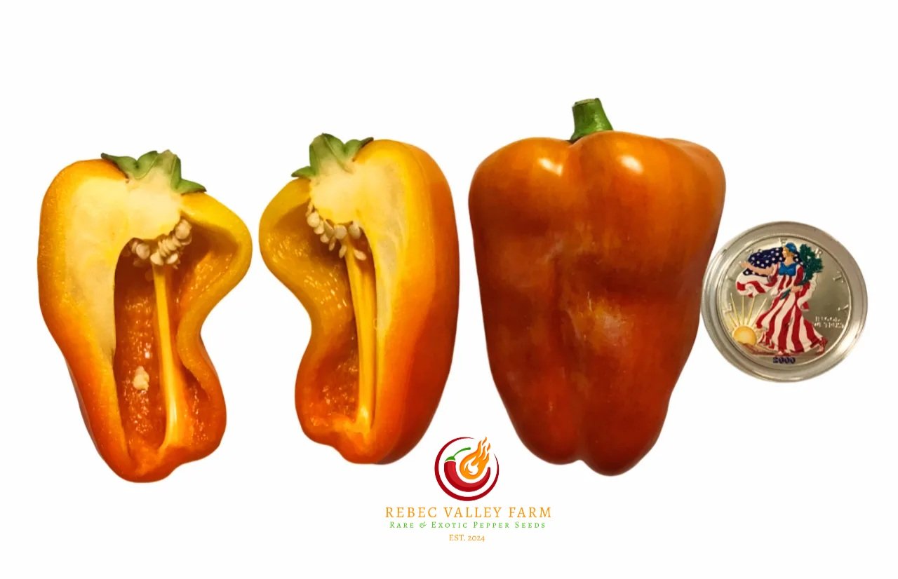 Blot (klyaksa) Pepper