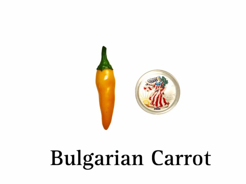 Bulgarian Carrot Pepper