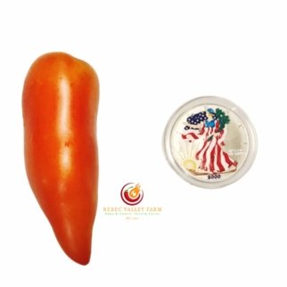 Cornue des Andes Tomato