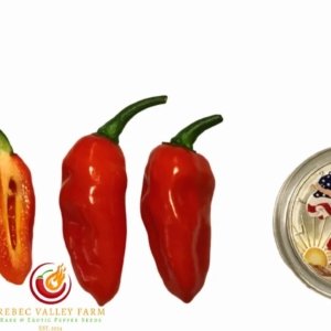 Ghost (Bhut Jolokia) Pepper