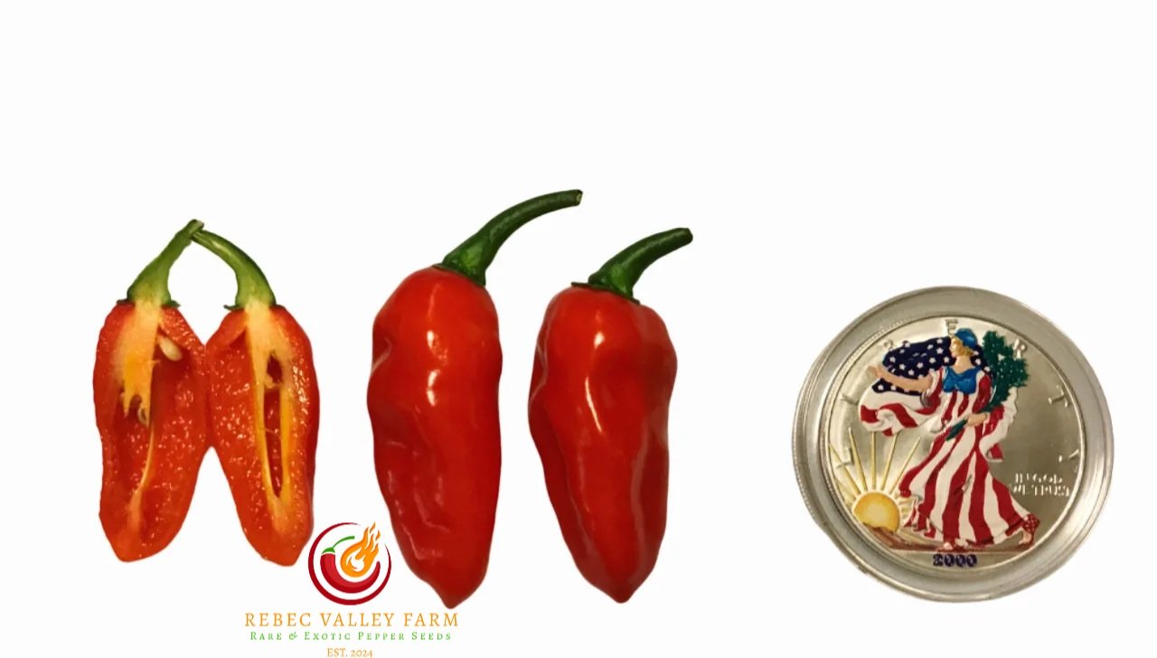 Ghost (Bhut Jolokia) Pepper