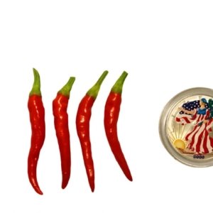 Medusa Ornamental Pepper