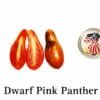 Dwarf Pink Panther Tomato Seeds