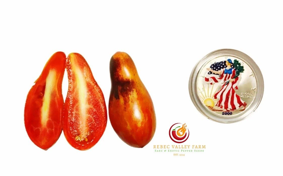 Pink Panther Dwarf Tomato