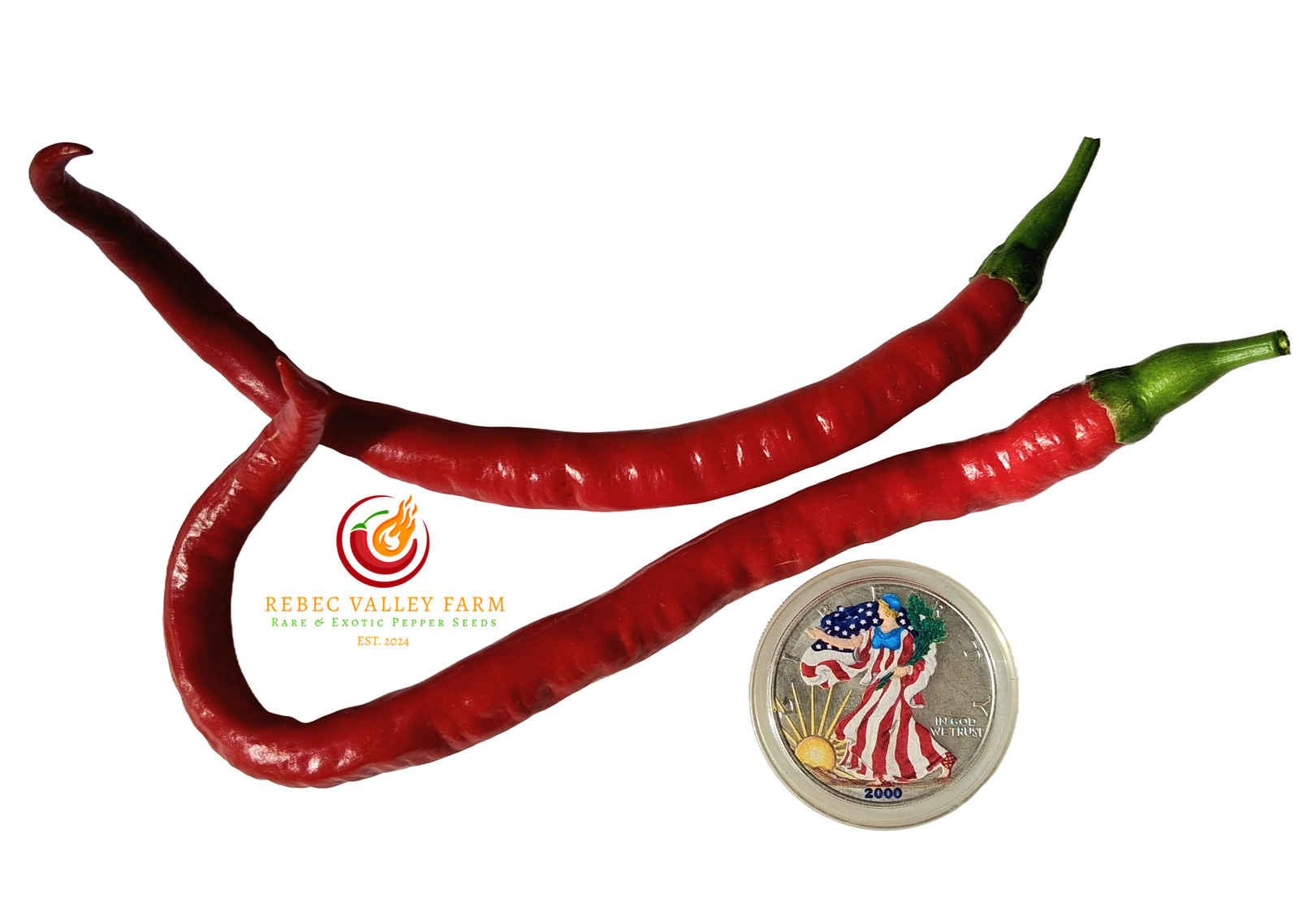 Cayenne Pepper, Joe's Long