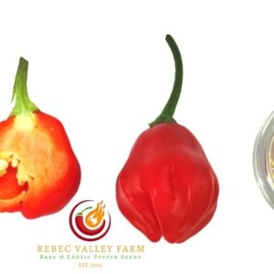 Aji Rainforest Pepper