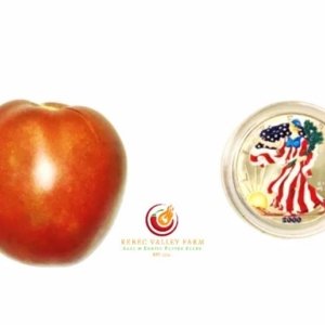 Amarillo Rust Heart Tomato