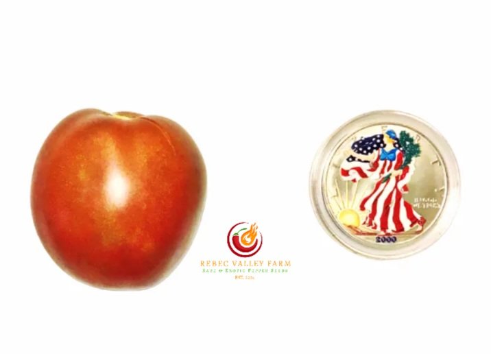 Amarillo Rust Heart Tomato