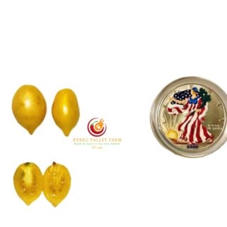 Barry's Crazy Cherry Tomato