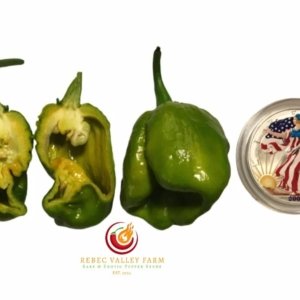 Big Mustard Mama Pepper