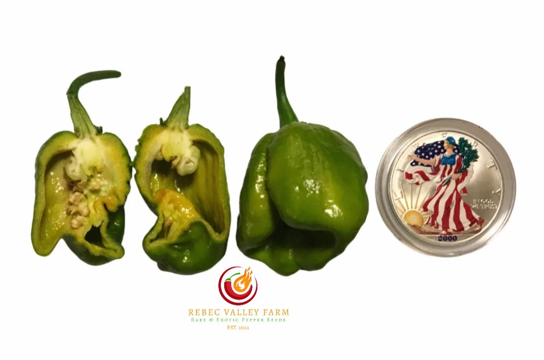 Big Mustard Mama Pepper