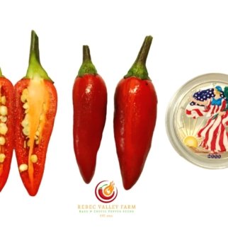 Biker Billy Knight Jalapeno Pepper