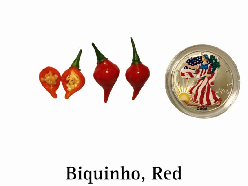 Biquinho Pepper, Red