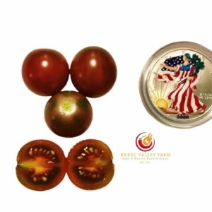 Black Cherry Tomato