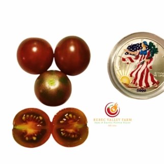 Black Cherry Tomato