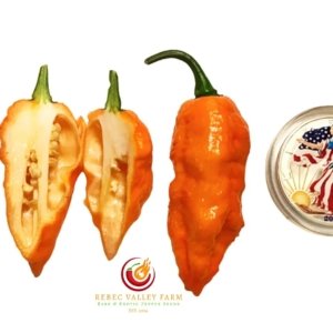 Black Panther Orange Pepper