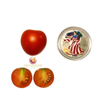 Cherry Falls Tomato