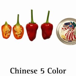 Chinese 5 Color Pepper