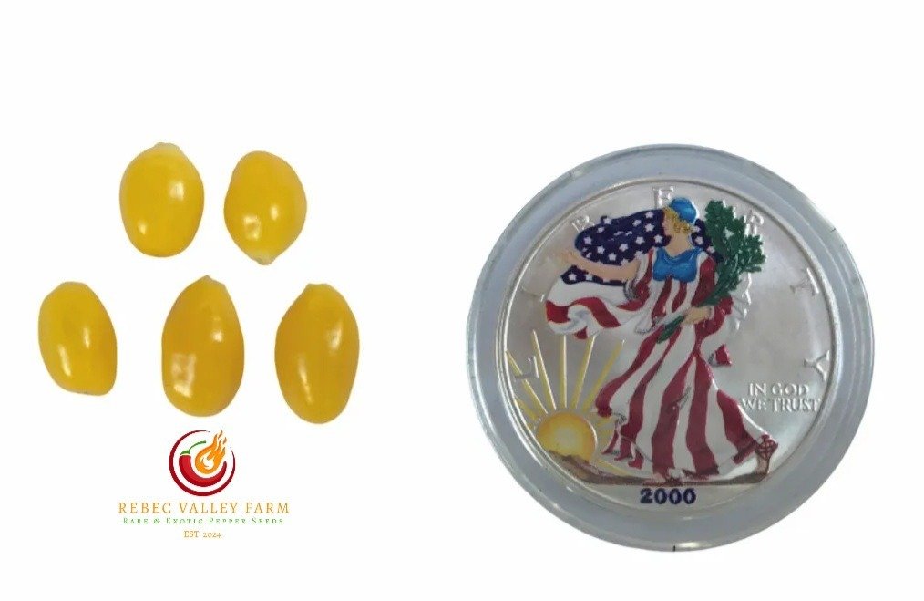 Cumari do Para Pepper