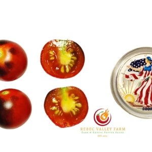 Dancing with Smurfs Cherry Tomato