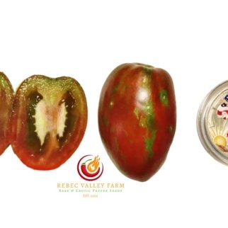 Audrey's Love Dwarf Tomato