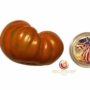 Babylon's Glow Dwarf Tomato