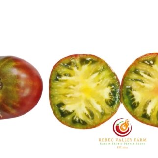 Copperhead Dwarf Tomato