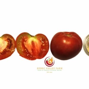 Dwarf Melanie's Ballet Tomato