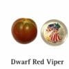 Dwarf Red Viper Tomato Seeds