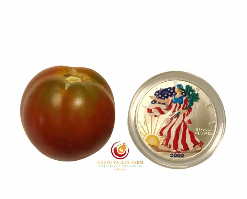 Red Viper Dwarf Tomato