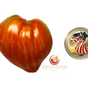 Maida's Kootenai Giant Tomato | Rebec Valley Farm