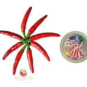 Facing Heaven Pepper