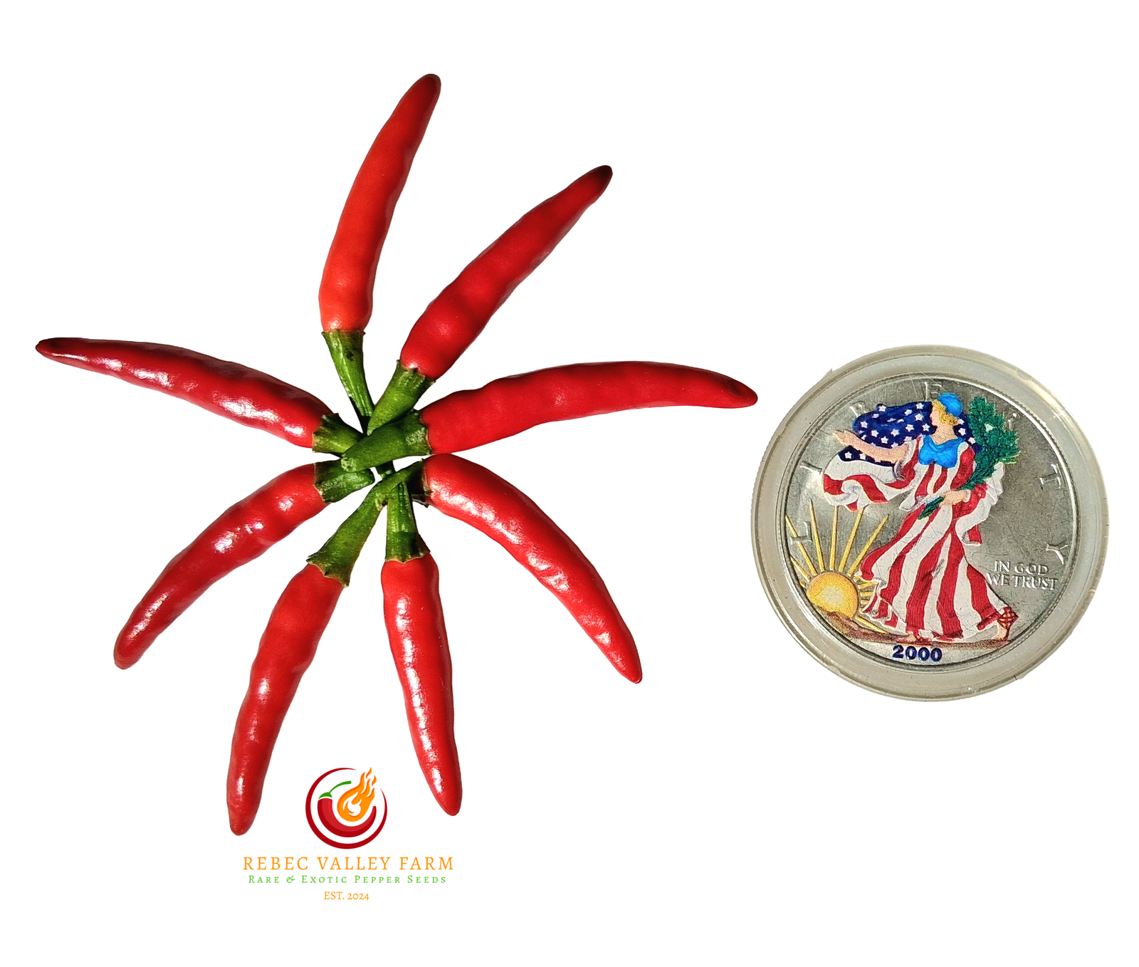 Facing Heaven Pepper