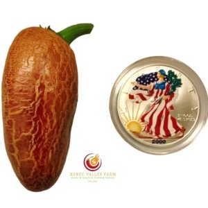 Farmers' Market Jalapeno Pepper