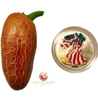 Farmers' Market Jalapeno Pepper