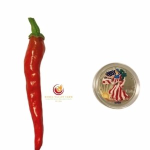 Fushimi Pepper