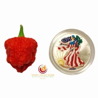 Genghis Khan Brain Pepper