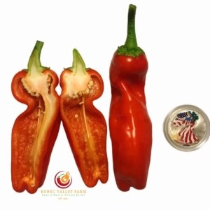 Giant Red Marconi Pepper