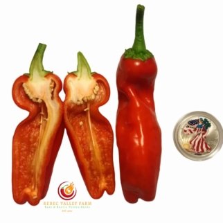 Giant Red Marconi Pepper