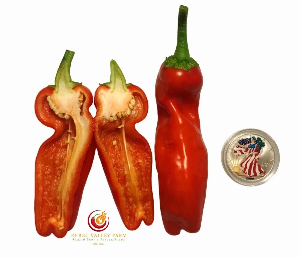 Giant Red Marconi Pepper