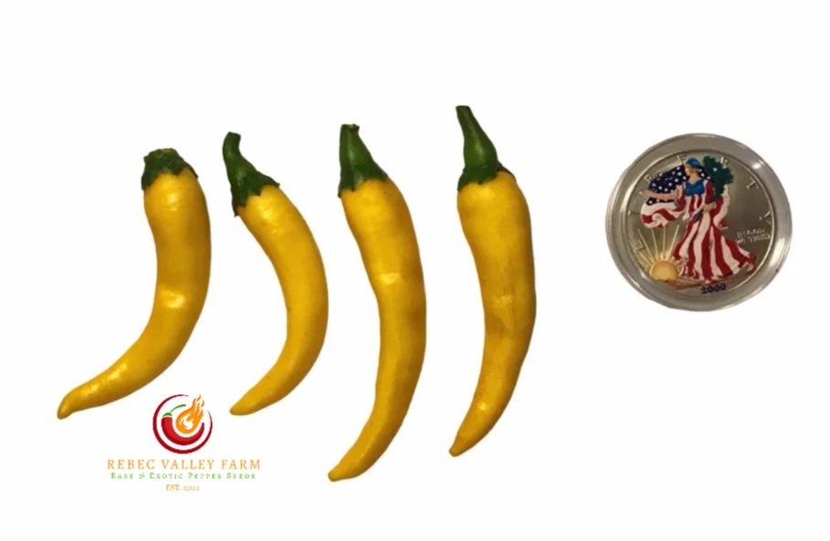 Golden Cayenne Pepper