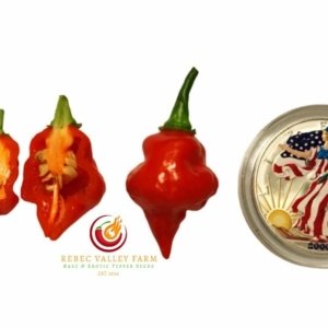 Pointed Red Habanero Pepper