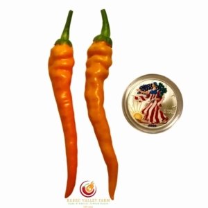 Hangjiao 3 Solar Flare Pepper
