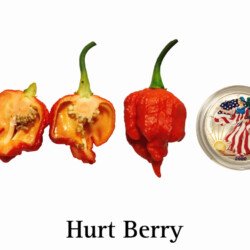 Hurt Berry Pepper