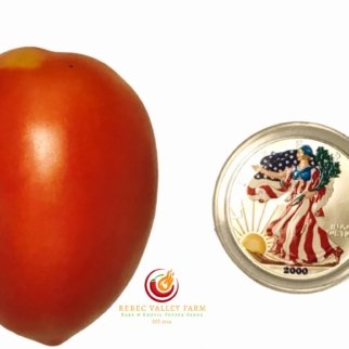 Iraqi Heart Tomato