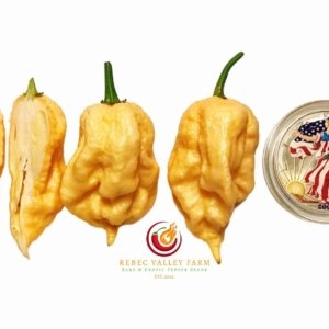 Jay's Peach Ghost Scorpion Pepper