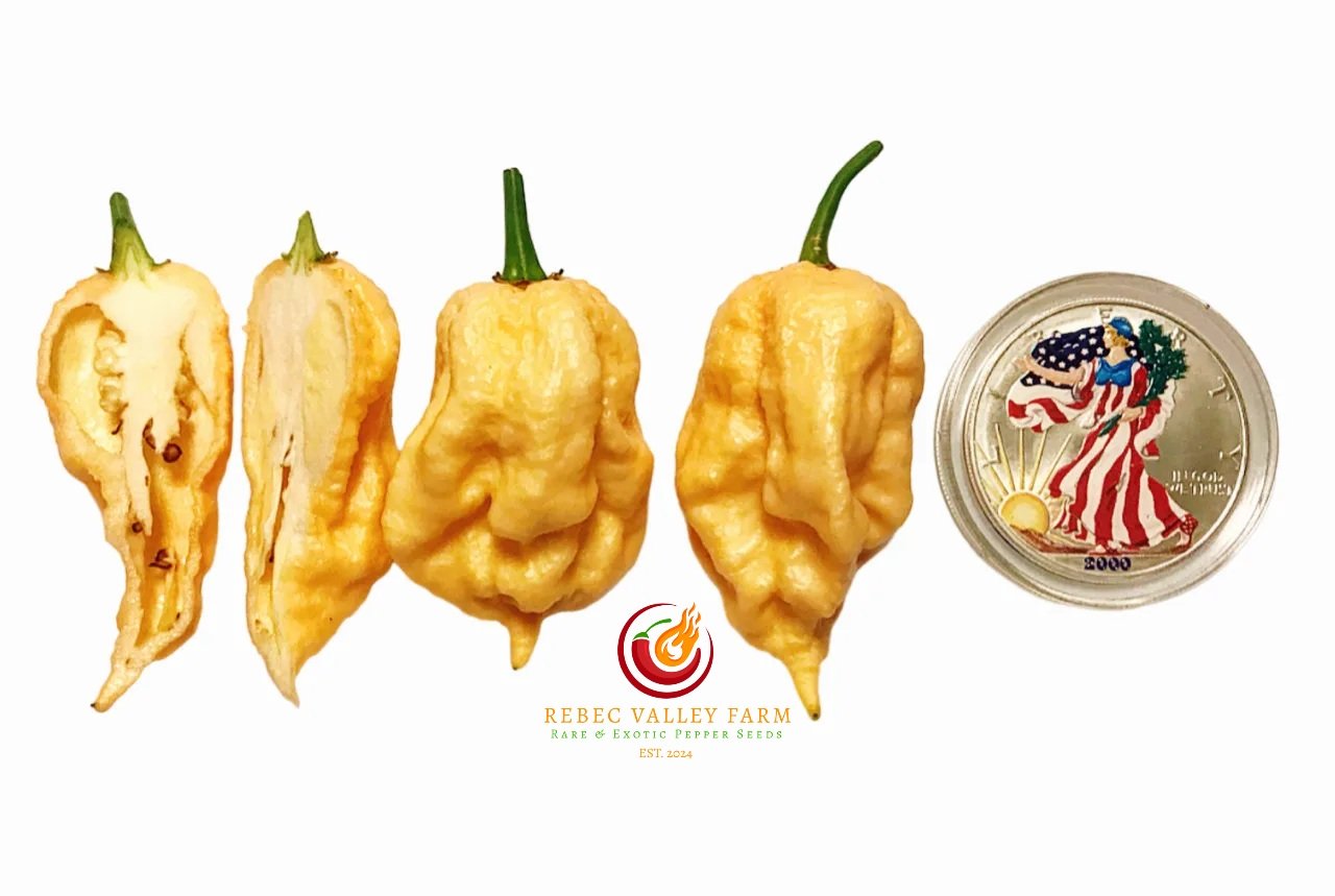 Jay's Peach Ghost Scorpion Pepper