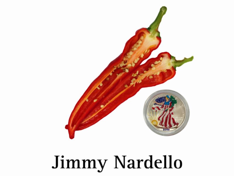 Jimmy Nardello Pepper - Image 2