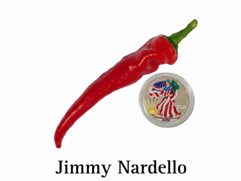 Jimmy Nardello Pepper